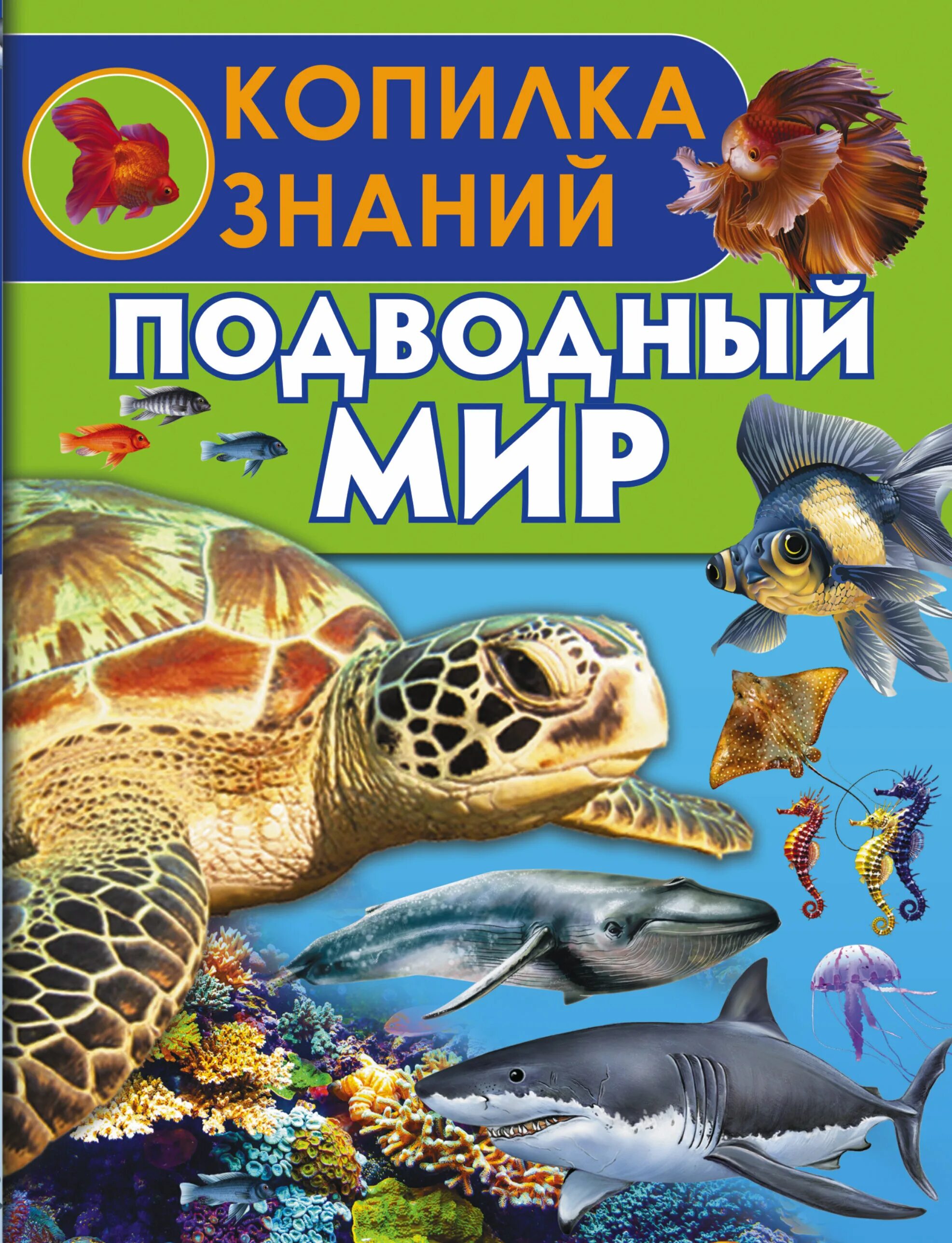 Подводный мир детская энциклопедия Аванта. Книга подводный мир. Книга морские обитатели. Научно-популярные книги для детей.