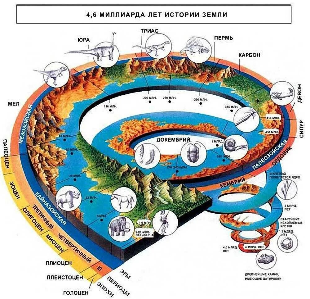 Этапы жизни планеты. Эволюция земли. История земли схема. Развитие планеты земля. Этапы развития планеты земля.