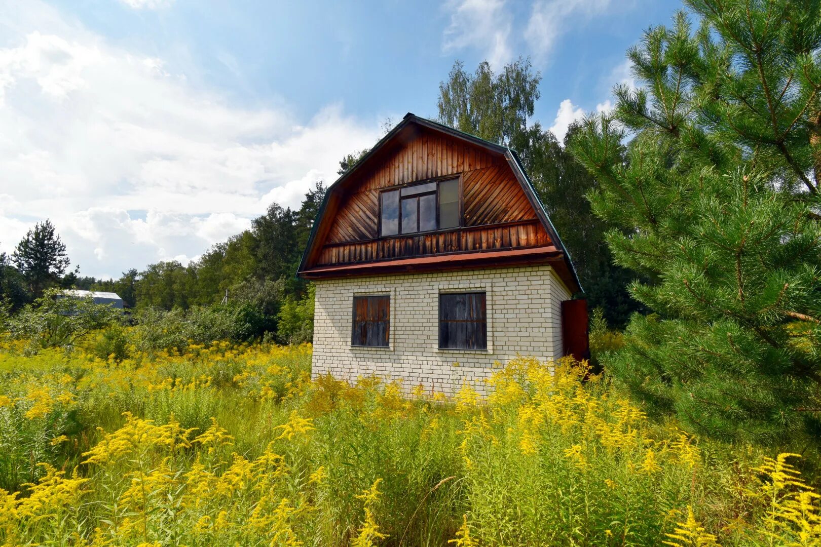 трубниково ленинградская область. трубников бор снт родник. трубников бор дачи. трубников бор дачи. снт родник тосненский район.