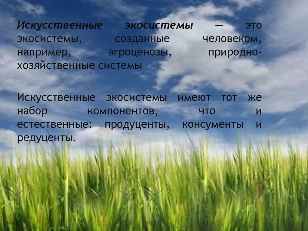 Продуценты агроценоза. Искусственные экосистемы. Искусттвннные экосистема. Искусственные экосистемы в экологии. Создание искусственных экосистем.