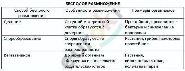 Схема способы размножения. Биология таблица способы бесполого размножения. Каковы особенности бесполого размножения кратко биология. Каковы особенности бесполого размножения кратко биология. Таблица по биологии бесполое размножение.