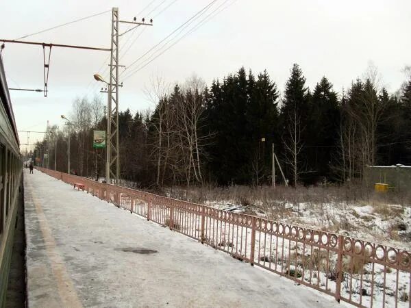 платформа трудовая