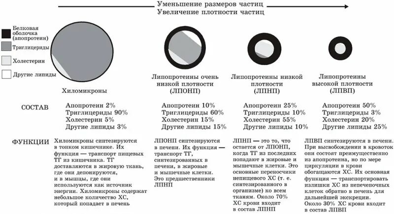 Терминология вто влажно-тепловая обработка. Уменьшение размеров ткани. Обработка разреза рукава. Как посчитать процент усадки ткани. Декатирование швейного материала.
