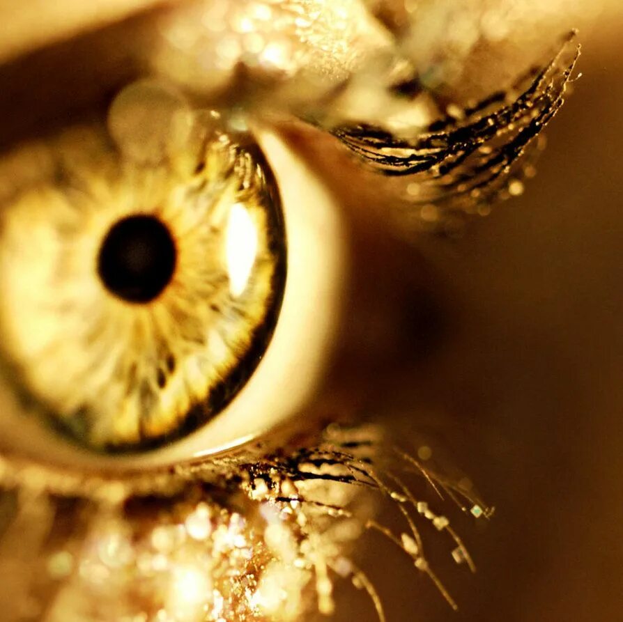 Золотисто прошлое. Золотые глаза. Золотистые глаза. Желтые глаза. Золотистый цвет глаз.