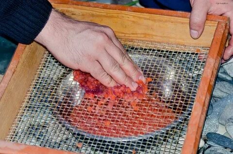 Как отделить икру форели от пленки