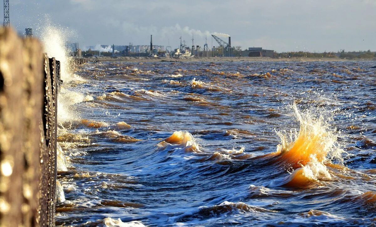 а волны и стонут и плачут