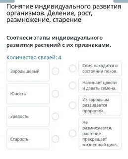 Представитель общества продукт индивидуального развития