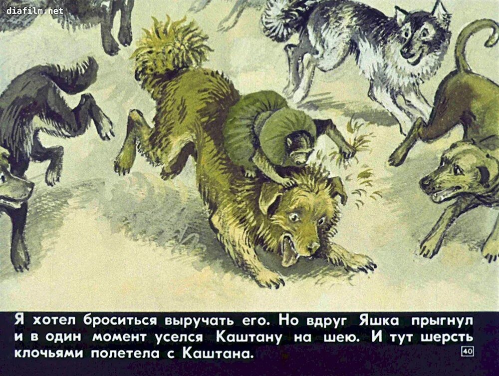 Какие чувства испытывал яшка житков. Иллюстрация к рассказу Бориса Житкова про обезьянку. Обезьянка Яшка Житков. Рассказ Бориса Житкова про обезьянку.