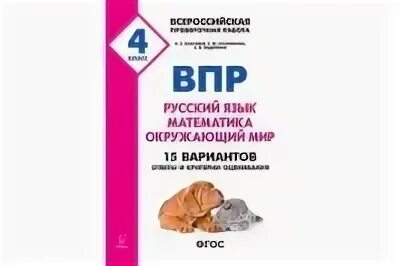 Впр математика 15