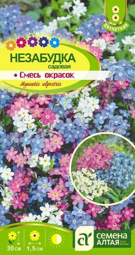 Незабудка смесь. Незабудка Садовая семена. Незабудка Альпийская голубая семена Алтая. Незабудка цветок семена. Незабудка Альпийская смесь.