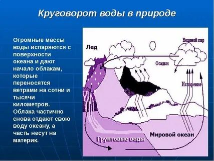 Масса в воде и на суше