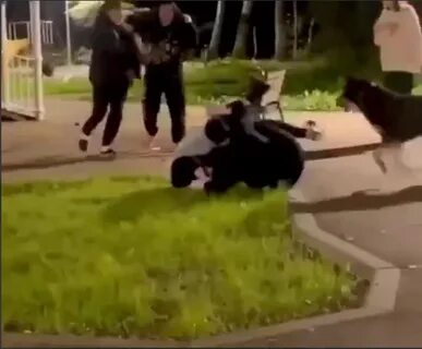Женщина избивала собаку