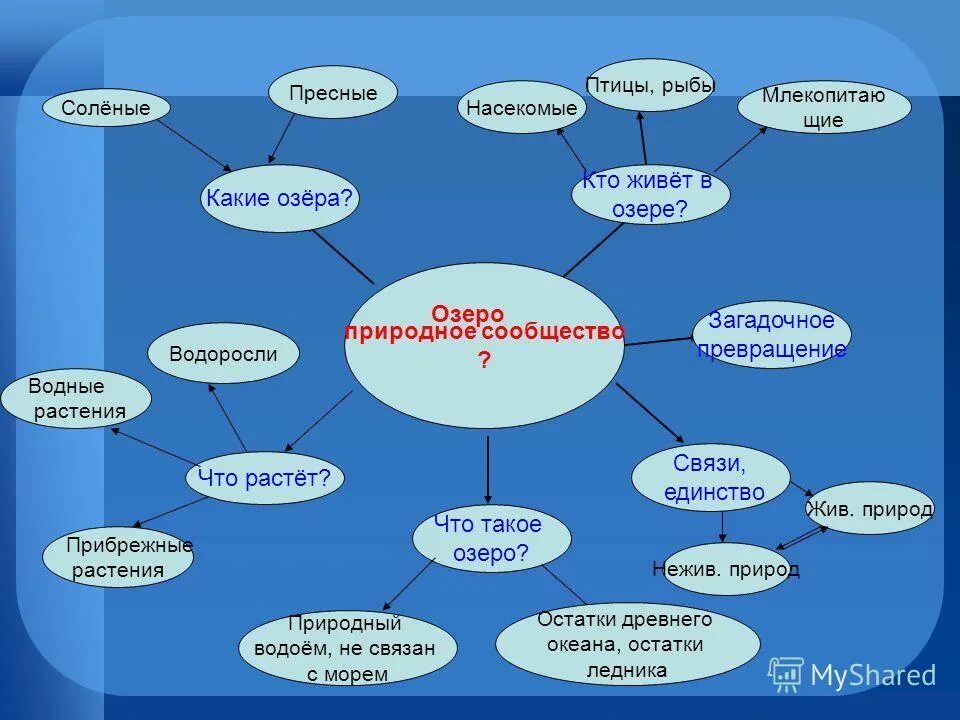 природные сообщества озёр и прудов. биоценоз пруда ярусность. сообщество озера 4 класс. сообщество озеро 4 класс окружающий мир. природное сообщество озеро 5.