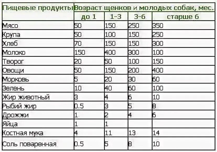 Можно ли давать собакам творог