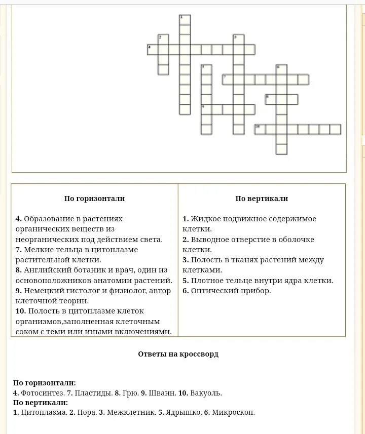 Кроссворд живые клетки. Кроссворд на тему клетка по биологии 10 вопросов. Кроссворд на тему строение клетки 5 класс с ответами по биологии. Строение клетки 5 класс биология кроссворд. Кроссворд по биологии 10 класс 10 вопросов.