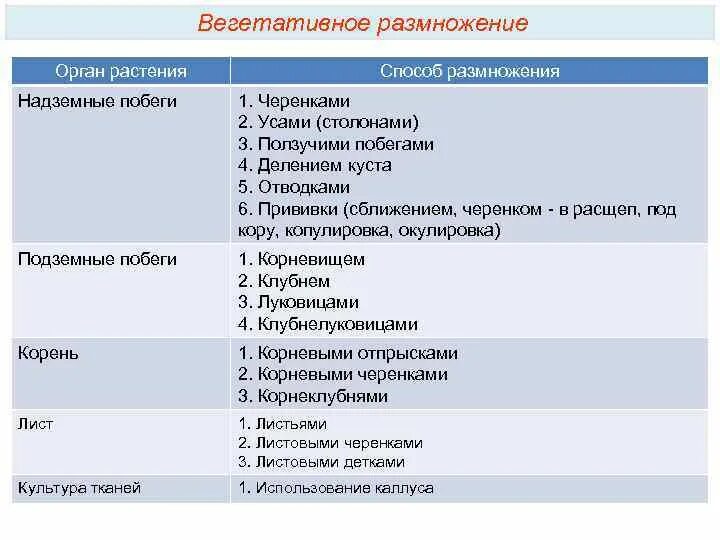 Формы вегетативного размножения примеры. Способы вегетативного размножения. Способы вегетативного размножения растений. Вегетативное размножение столонами. Способы вегетативного размножения надземные органы.