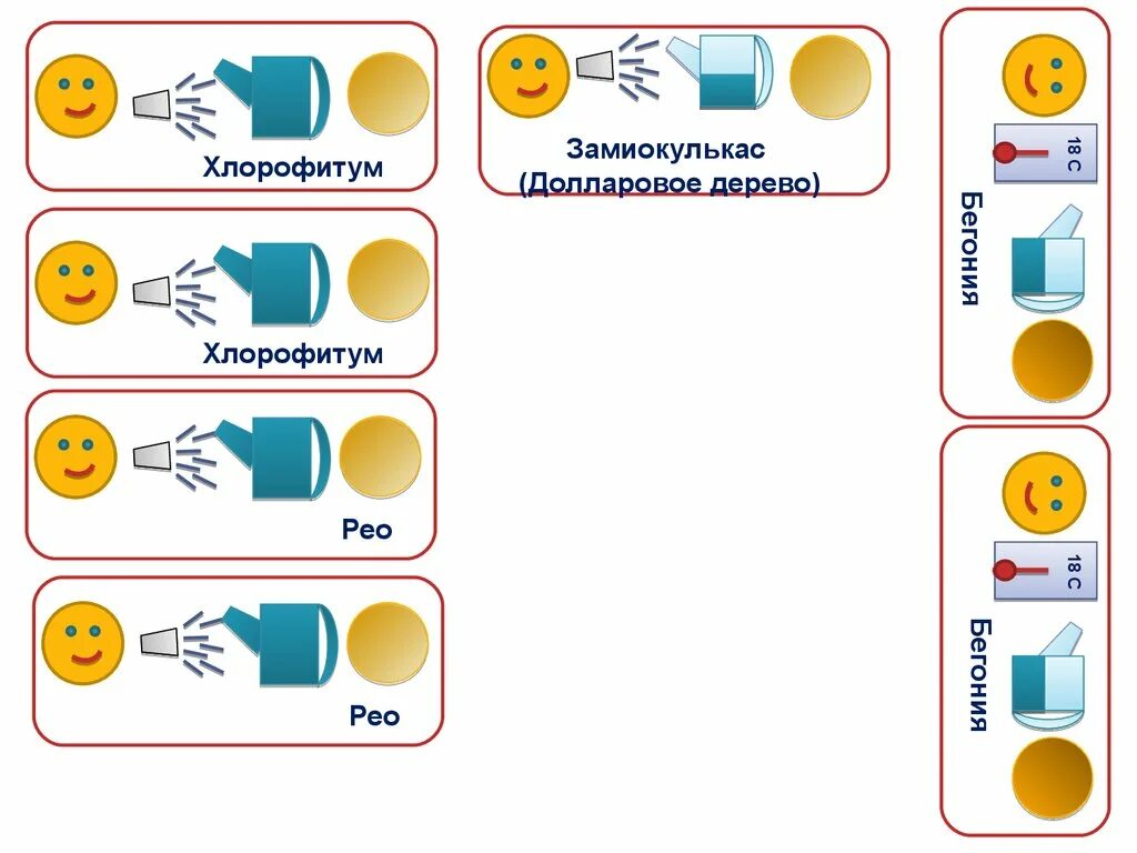 Маркировка цветов в доу