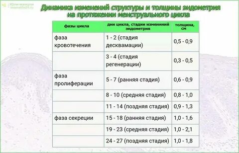 Ненорма форум инфо
