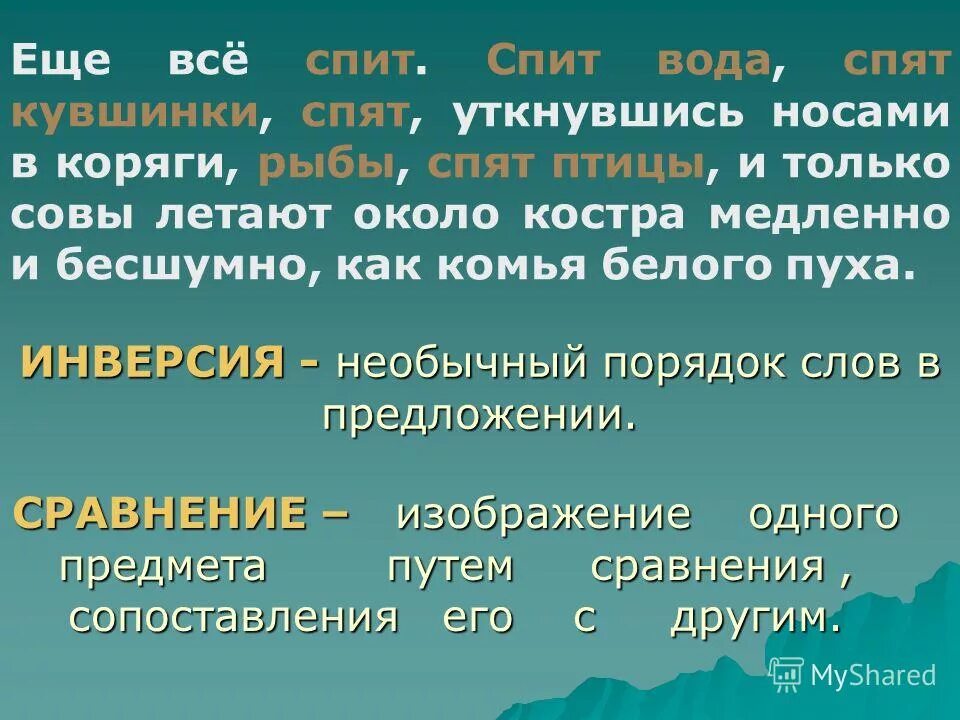 Птицы рыбы предложение. Спят уткнувшись носами в коряги рыбы.