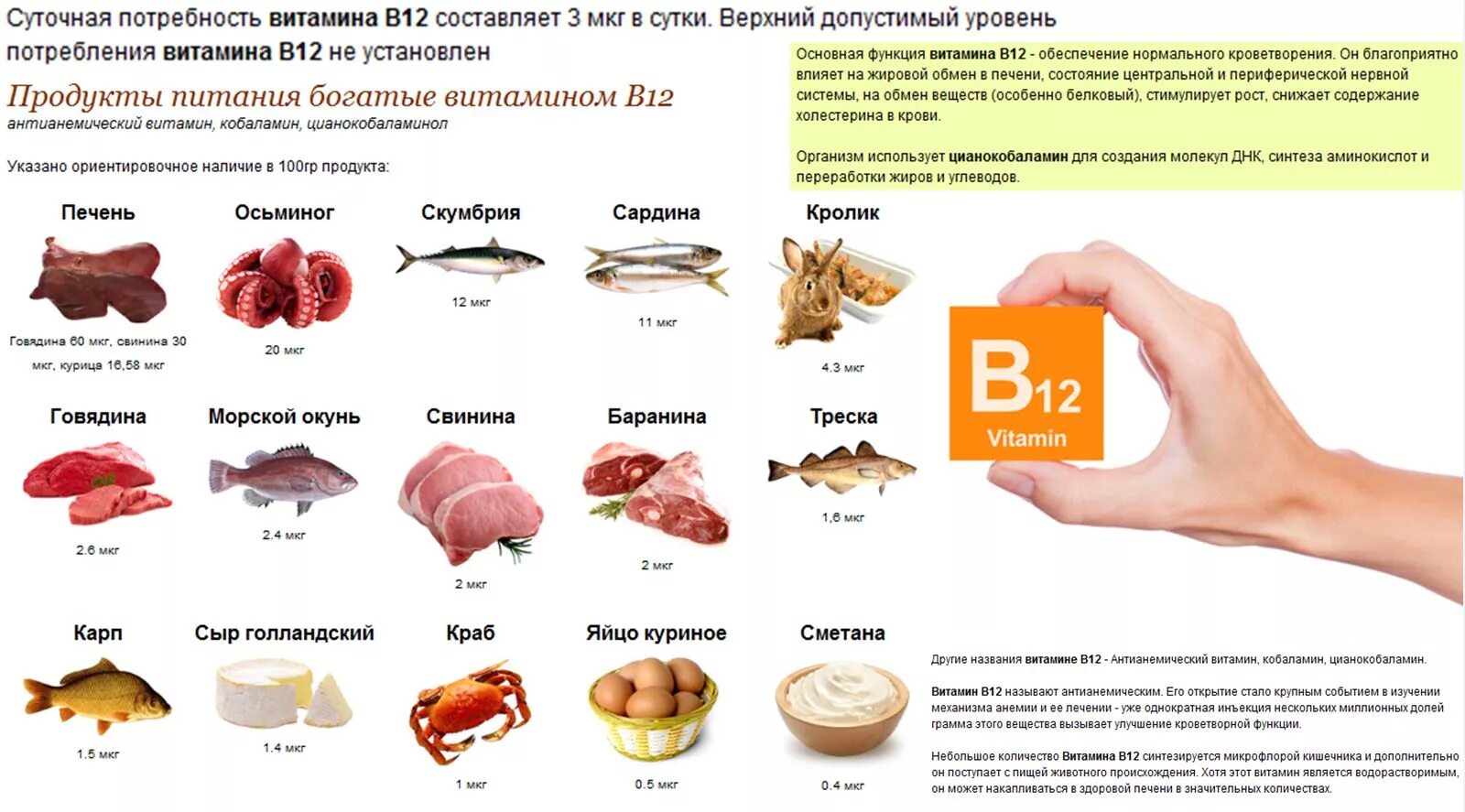 Продукты содержащие витамин в12 и в6. Источники витамина в12 в продуктах питания. Продукты богатые витамином в12. Продукты богатые витамином в12 таблица.