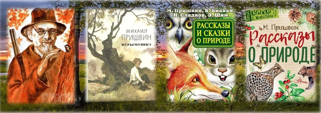 Пришвин разговор деревьев. Высказывания пришвина о природе. М. Разговор деревьев пришвина. М м пришвин дерево.