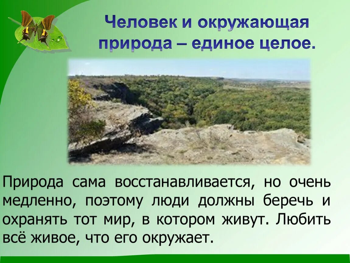 Презентация по защите природы. Природу надо беречь. Доклад о природе. Почему нужно беречь природу сочинение.