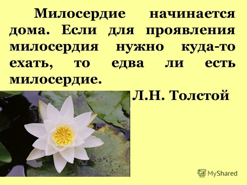 Чтобы проявить милосердие надо освободить свою. Милосердие начинается дома. Милосердие начинается в семье. Милосердие начинается дома если для проявления милосердия. Милосердие начинается дома картинки.