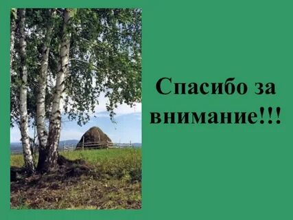 Про родимую