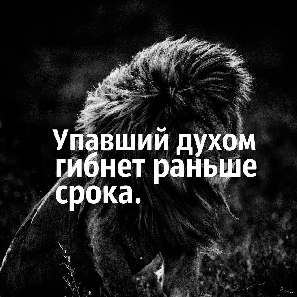 Песня главное в этой жизни духом не. Упавший духом гибнет. Упавший духом гибнет раньше срока. Упадёшь телом поднимут упадёшь духом затопчут. Упавший духом гибнет раньше срока иллюстрация.