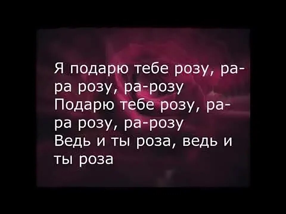 Я встретил розу она текст. Я подарю тебе розу. Я подарю тебе розу текст. Текст песни я подарю тебе розу. Слова песни подарю тебе розу.