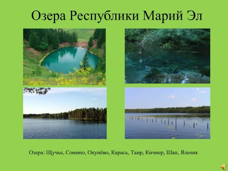 Озера республики марий. Водные богатства Республики Марий Эл 2. Растительный мир Республики Марий Эл. Озера Марий Эл. Озера Марий Эл презентация.