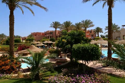Египет отель rehana sharm resort