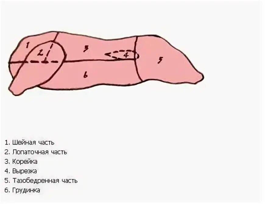 Схема разделки туши свиньи. Схема разделки туши свиньи