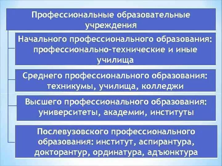 Образовательные организации начального профессионального образования