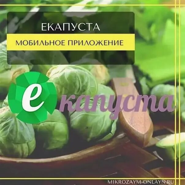 Капуста деньги в займ. Микрозайм капуста. Капуста займ. Екапуста. Екапуста займ.