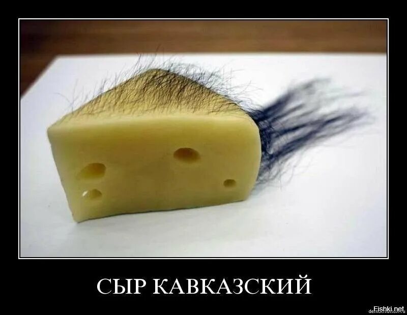 Почему сыр не получился. Волосатый сыр. Смешной сыр. Сыр прикол. Сыр с плесенью прикол.
