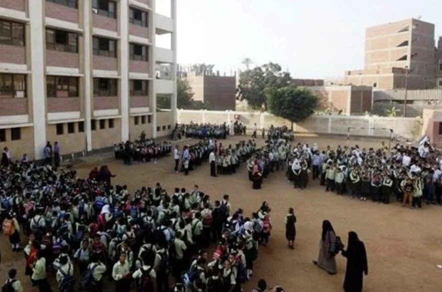 Российская школа в каире. Школа в египте. Cairo english school. Средняя школа в египте. Дошкольное образование египет.