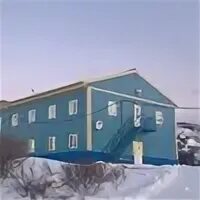 Пилигрим териберка