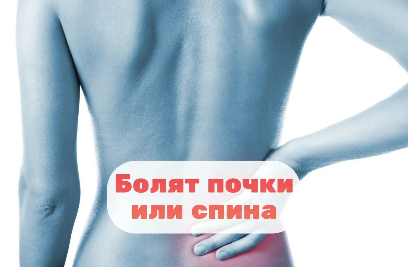 Почки или поясница как понять. Что болит почка или поясница.