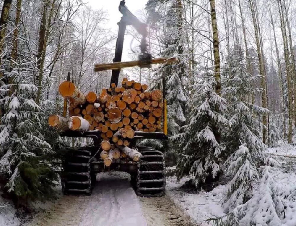 маз 2022 лесовоз. транспорт заготавливаемый зимой. транспорт заготавливаемый зимой. грузовик на зимней дороге. лесная промышленность.
