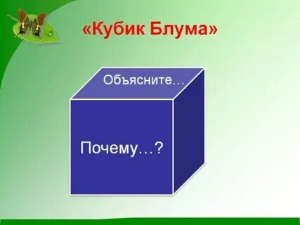 Кубик блума для детей