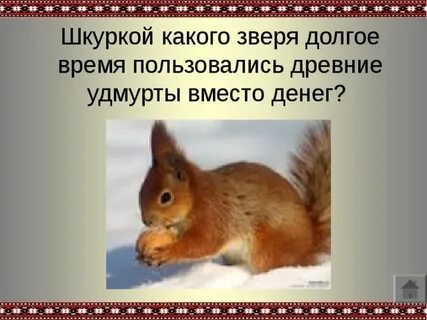 Каких животных становится меньше