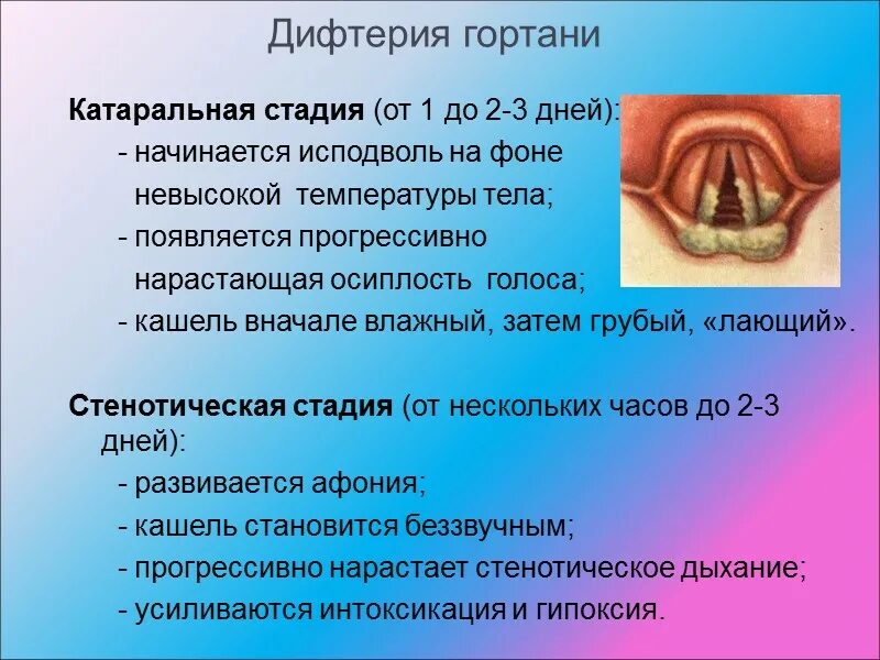 Практическое занятие Дифтерия