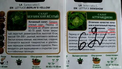 Гмо семена