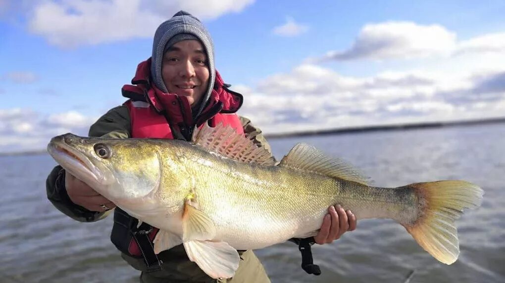 вести с водоёмов новосибирской области. судак обской. место для рыбаков. рыбалка в новосибирске. река иня новосибирской карта.