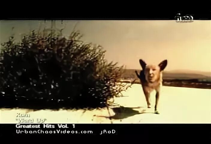 Korn word up перевод