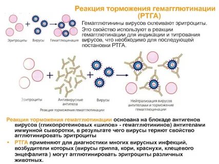 Вирусная реакция