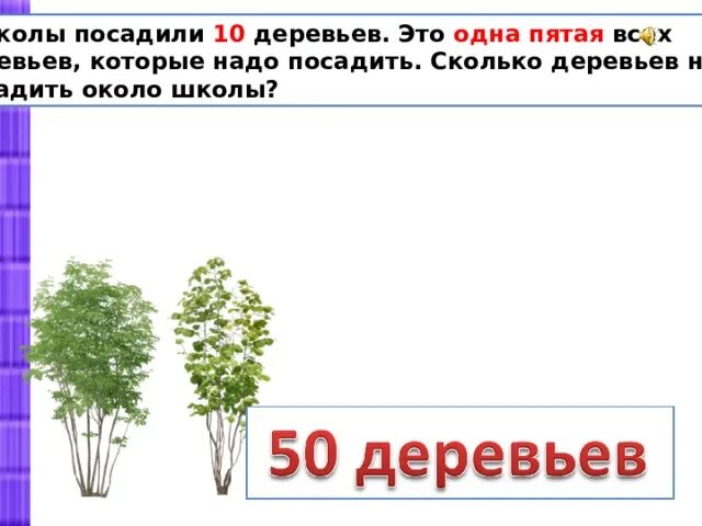 10 Деревьев. Сколько посадили деревьев в этом году. Около школы посадок осталось посадить еще сколько. Три класса посадили 60 деревьев первый.