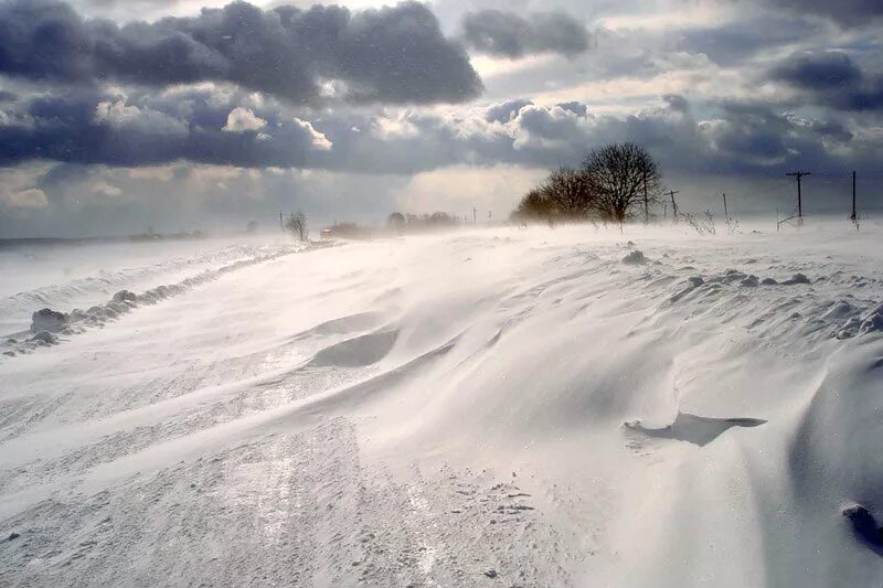 постоянные ветры земли. холодный край. западный ветер зимой. западный ветер зимой. сильный зимний ветер.