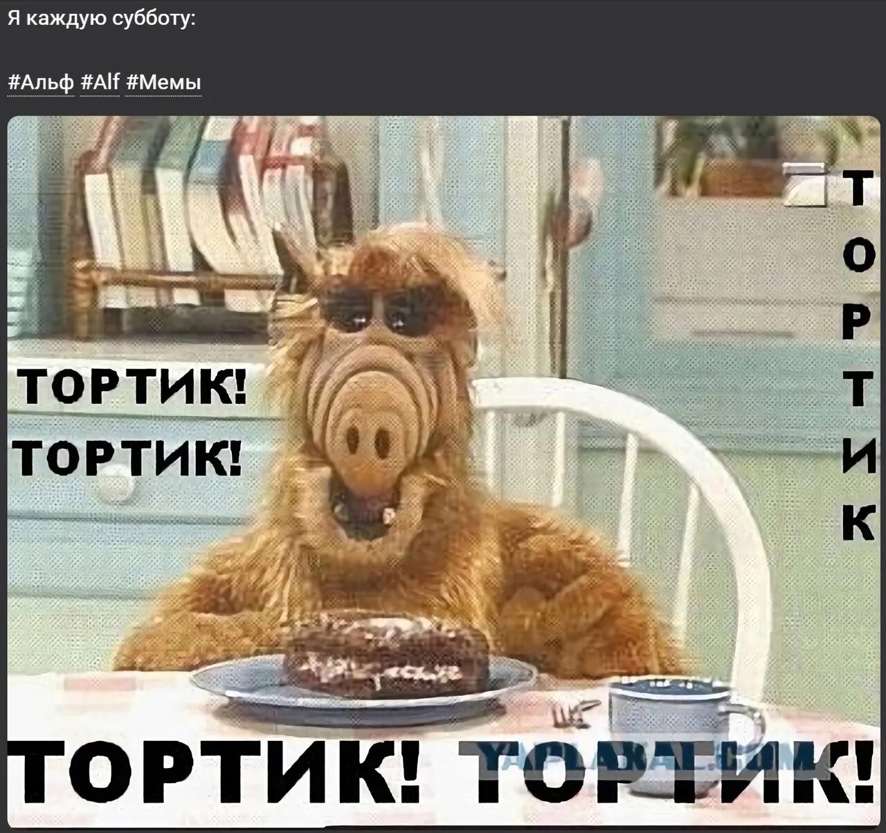 Альф pay. Альф. альф мем тортик. альф мем.